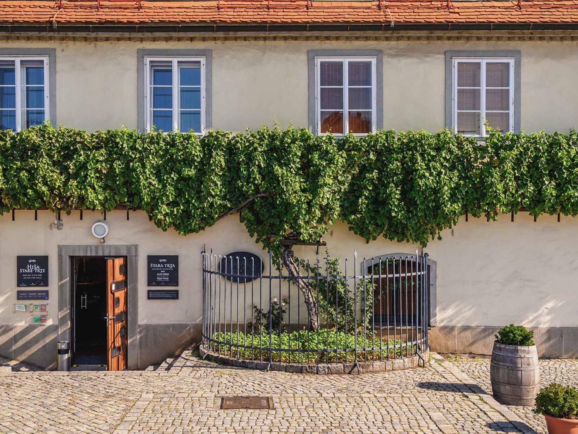 Kavenija Apartmaji - Free Parking Maribor Luaran gambar