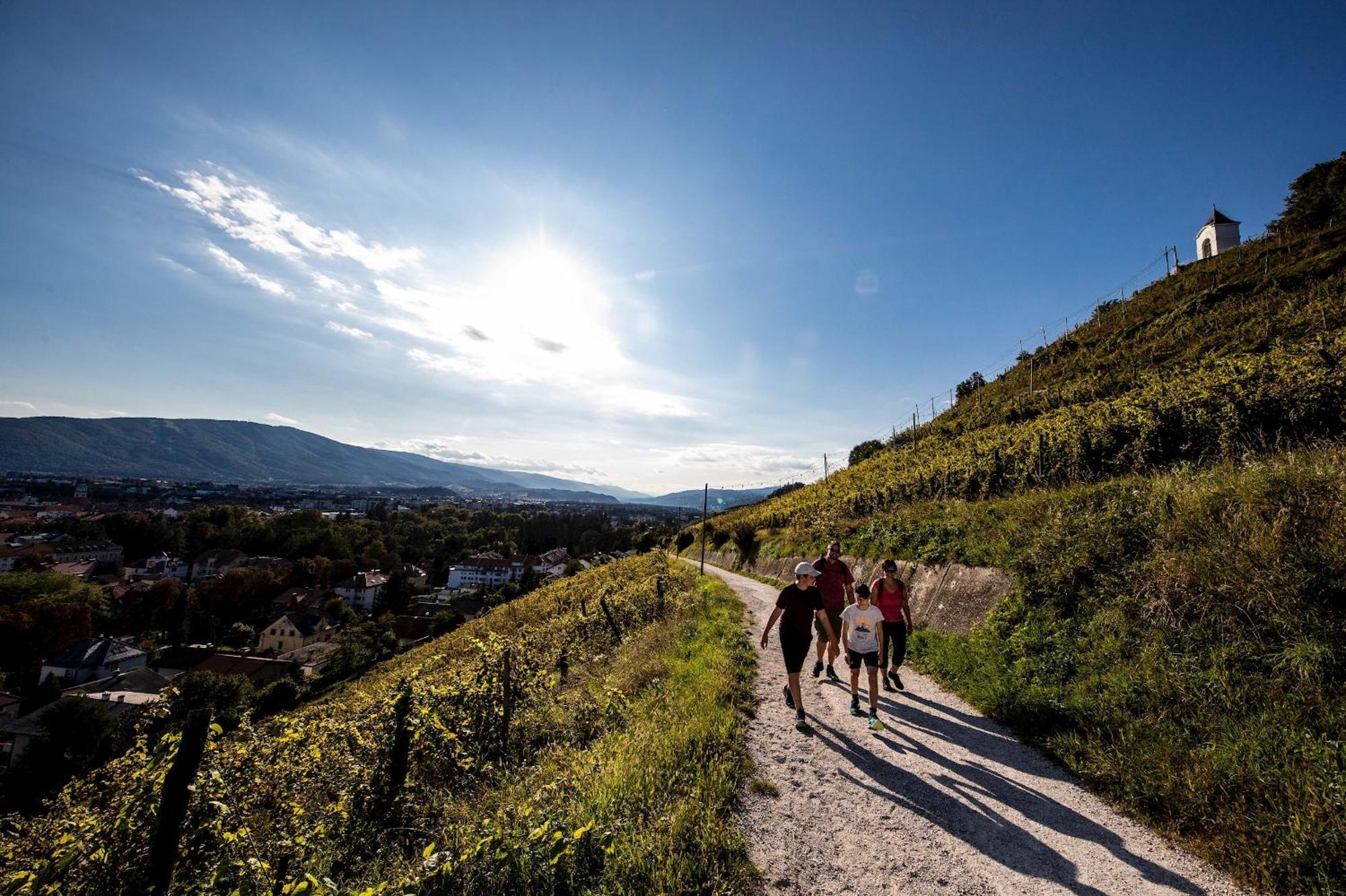 Kavenija Apartmaji - Free Parking Maribor Luaran gambar